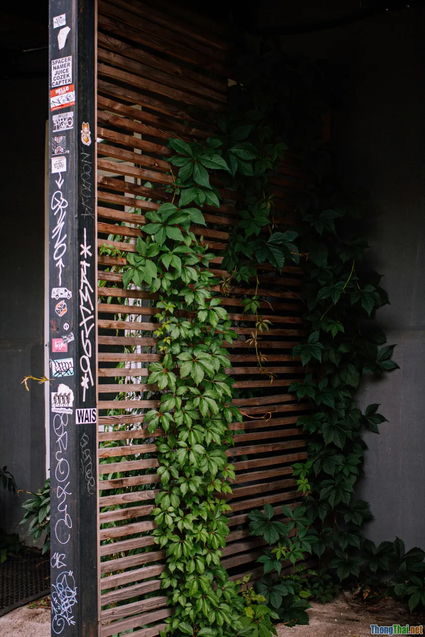 PVC pipe planter, vertical garden, wall decor, upcycling