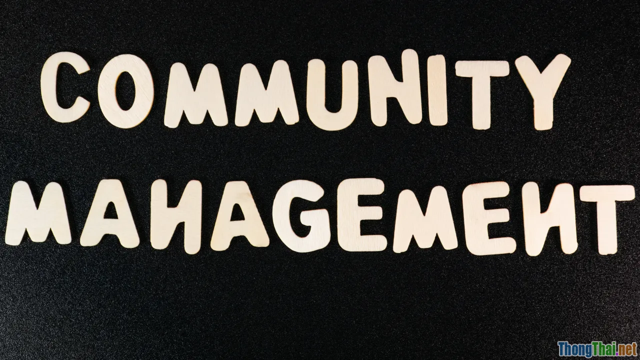 quality content, engaged community