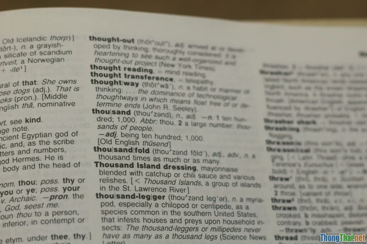 reading, highlight, skimming, scanning