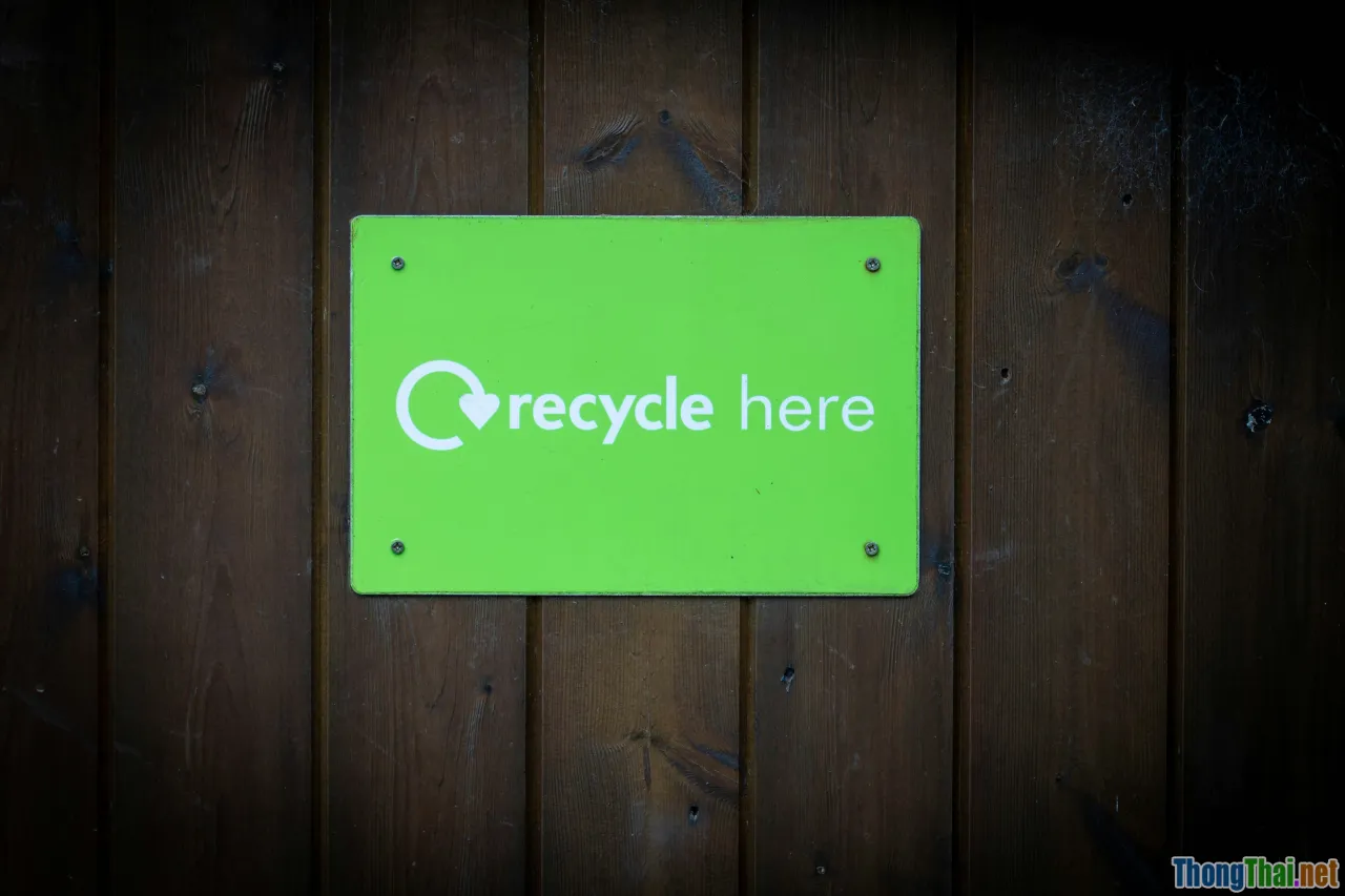 recycled craft, eco lifestyle, sustainability