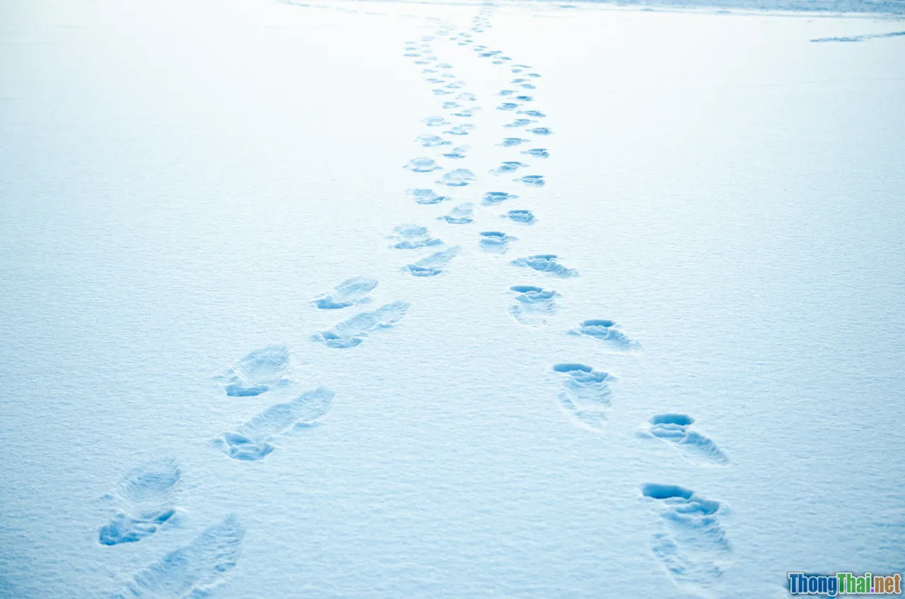 reflection, small steps, security mindset, journey