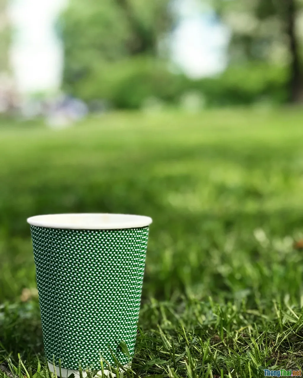 relaxation, coffee break, green park