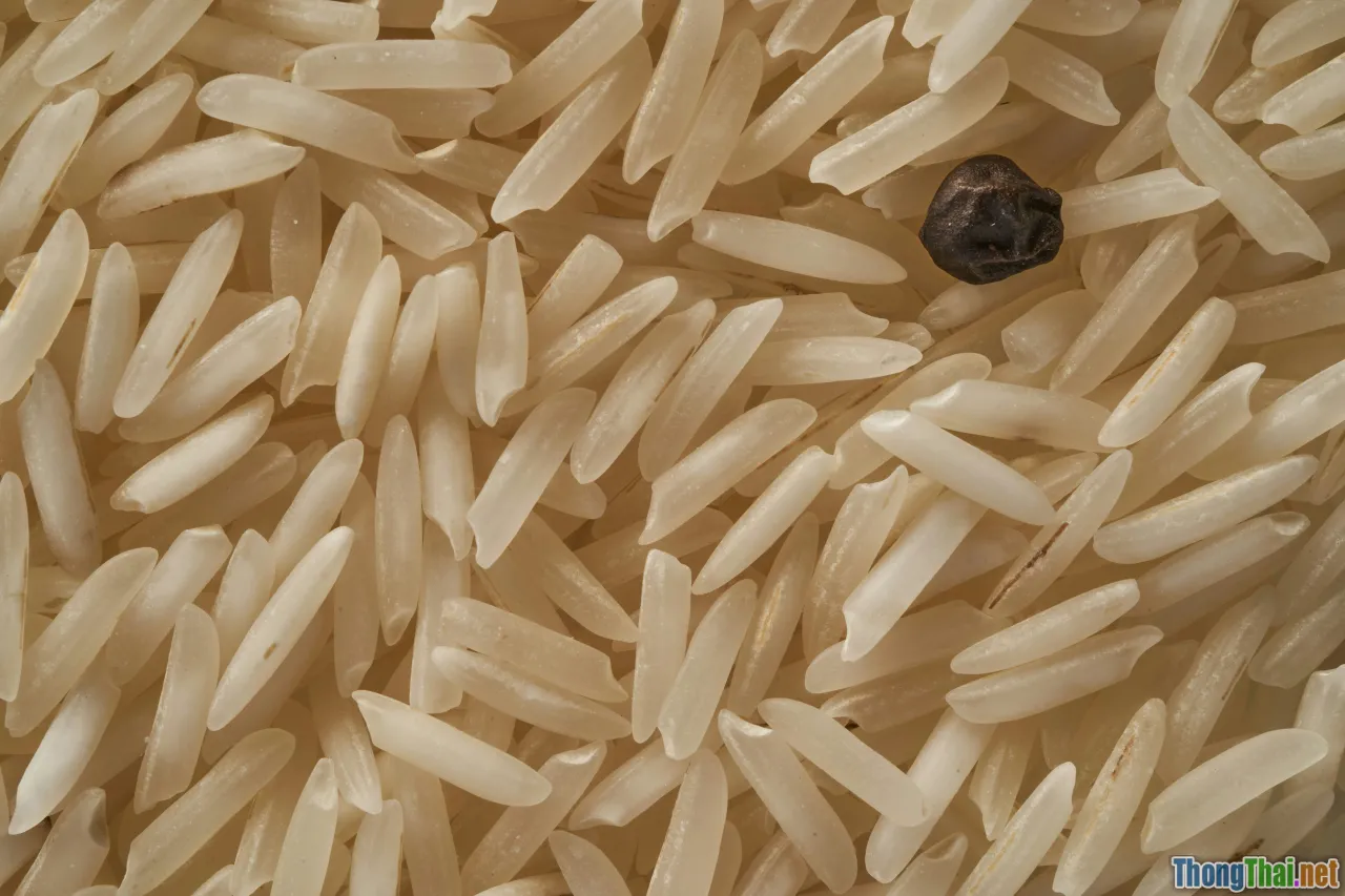 rice, bread, pasta, carbohydrate