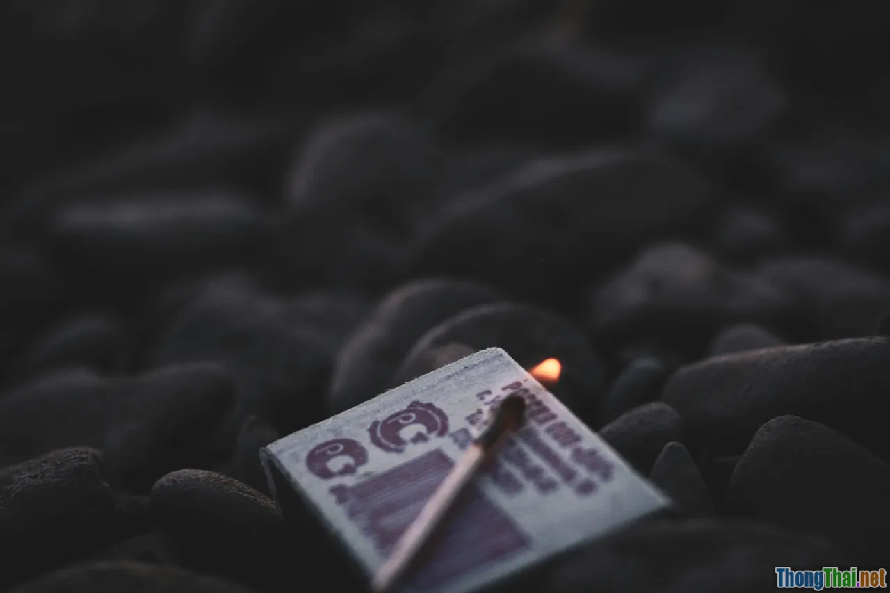 rich vs poor, exploitation, distribution