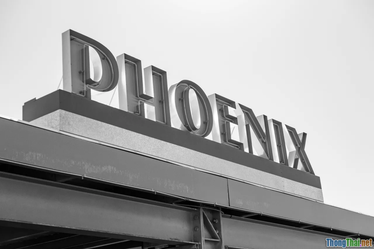 rising phoenix, learning opportunity, personal growth