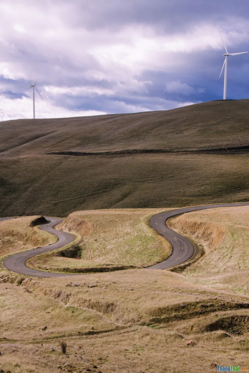 roadmap, business, sustainability