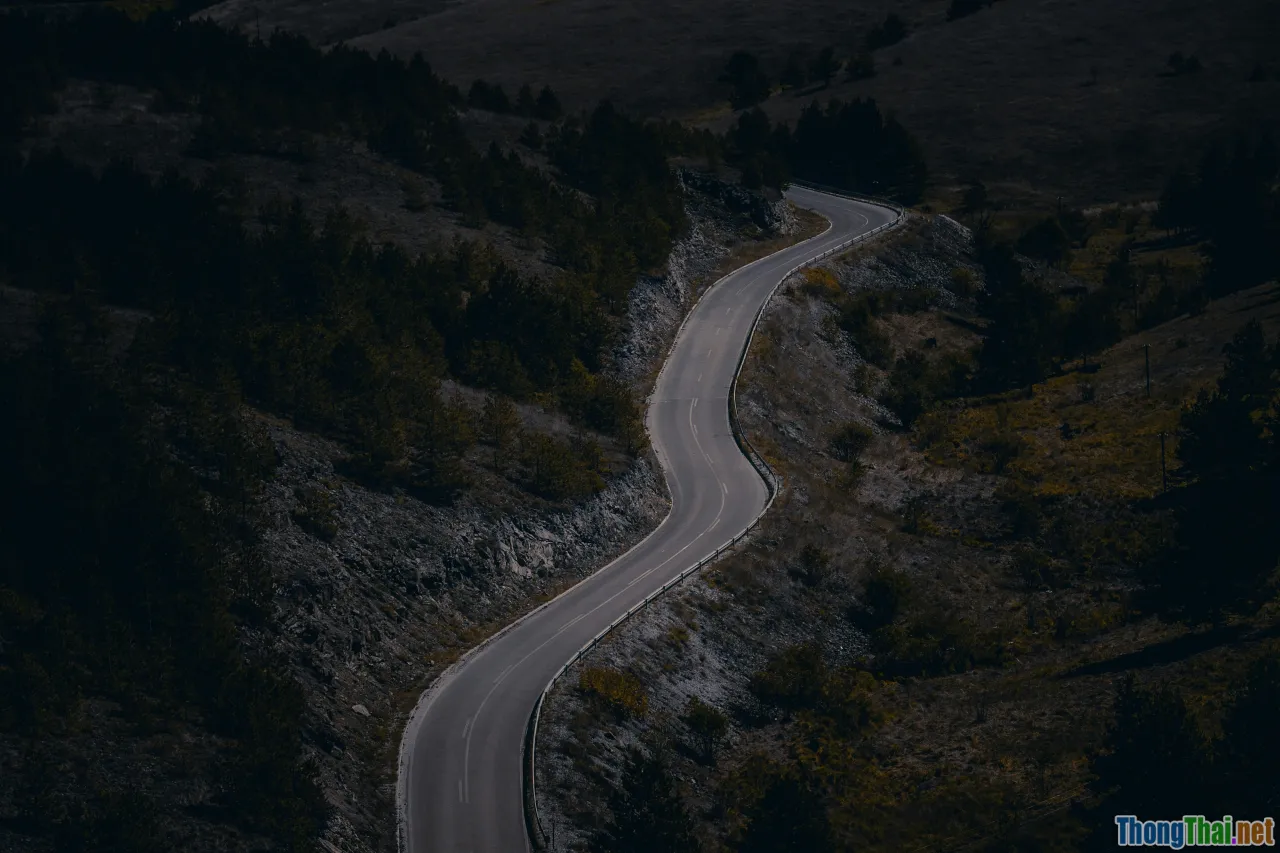 roadmap, developer learning path, decision making