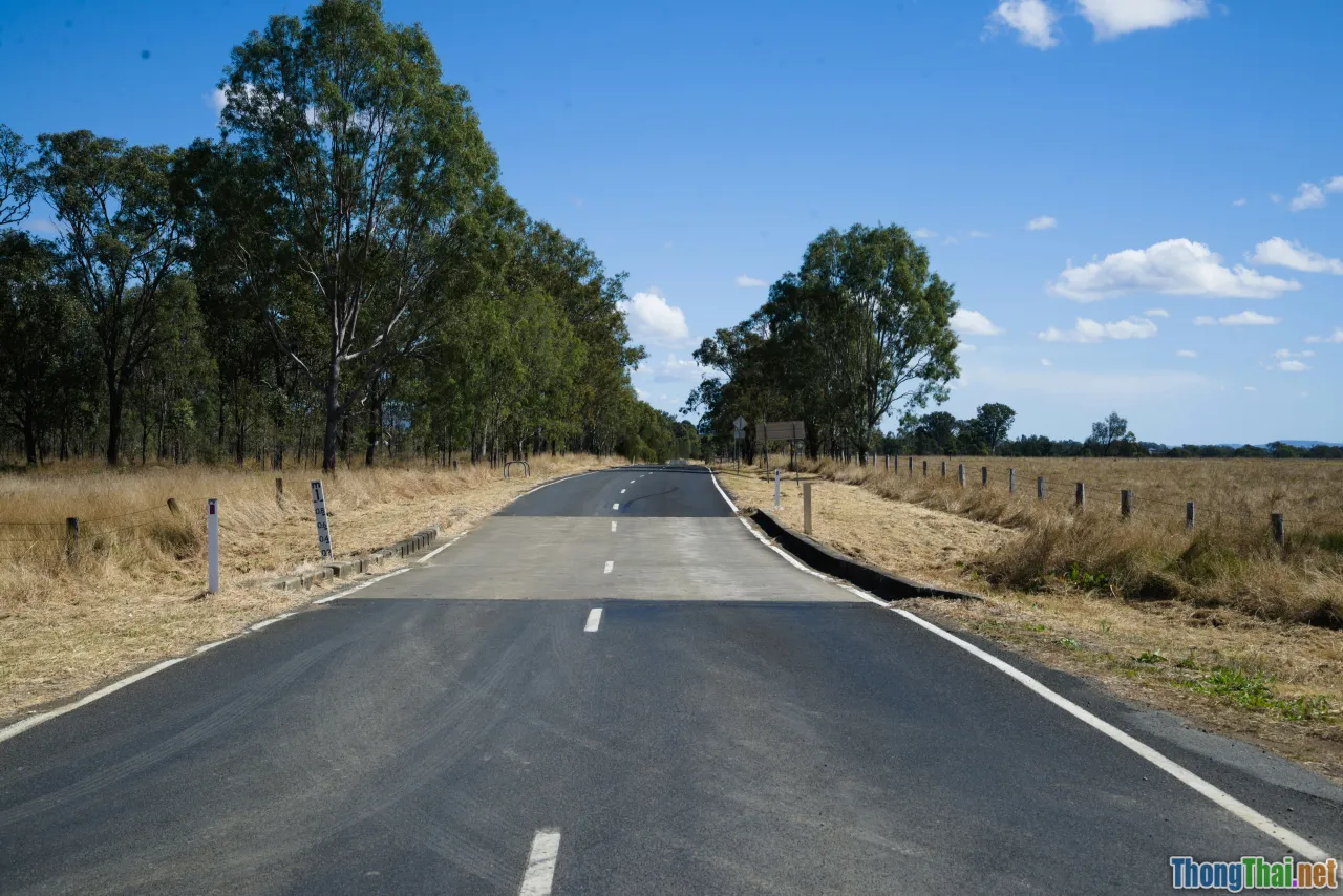 roadmap, milestones, savings growth, plan