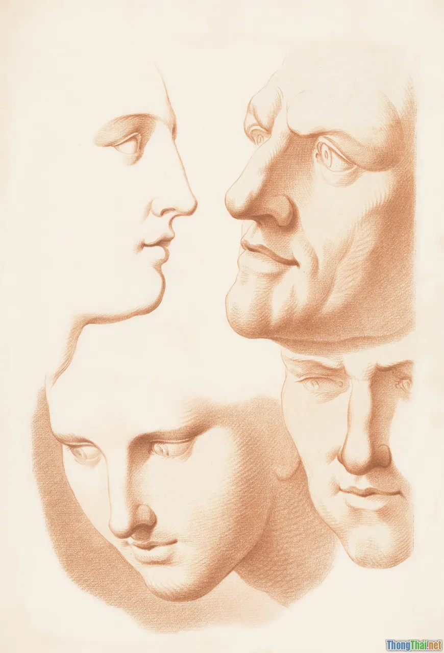 round face female, face analysis