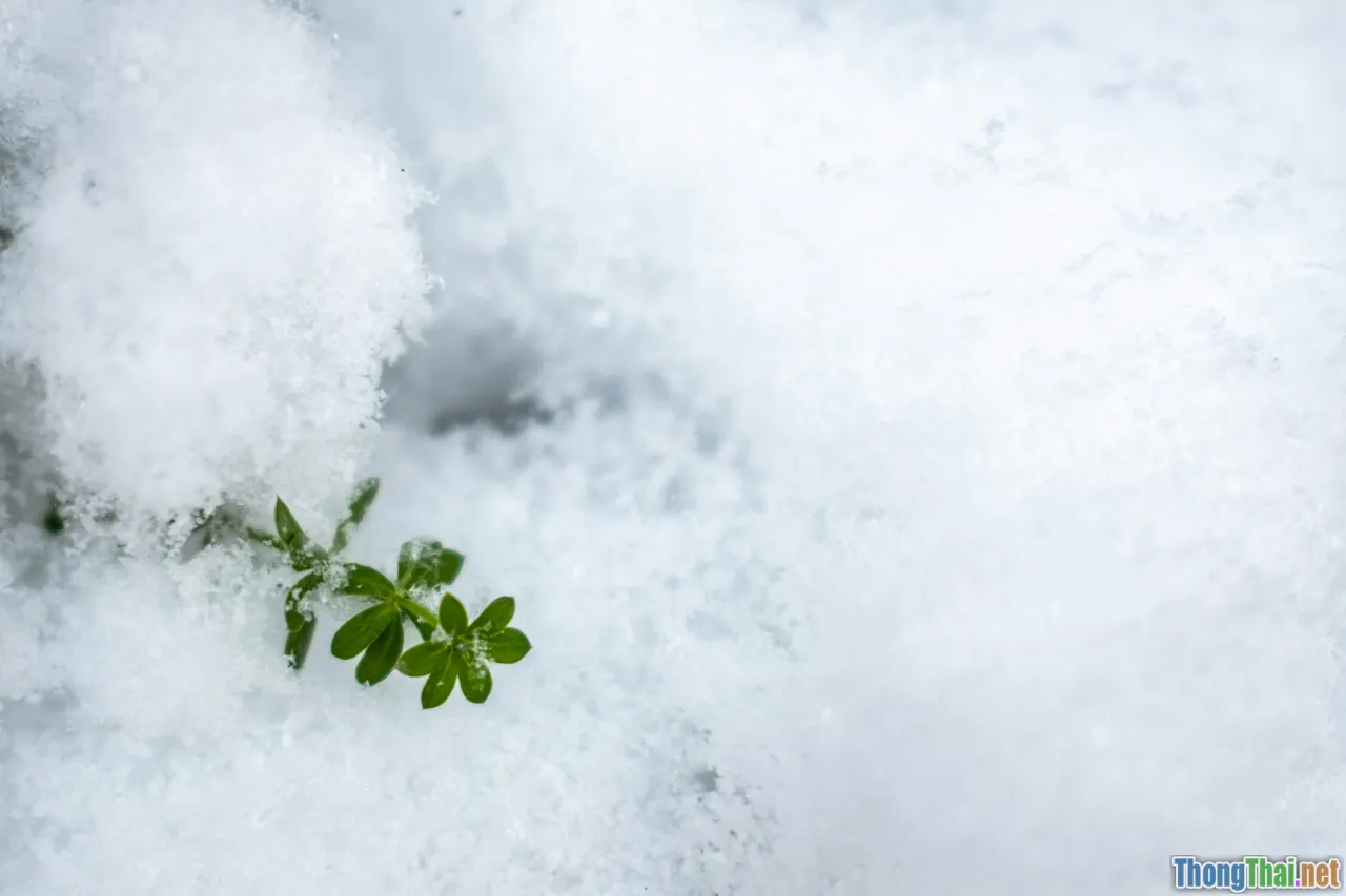 seasons, strategy, rest, growth