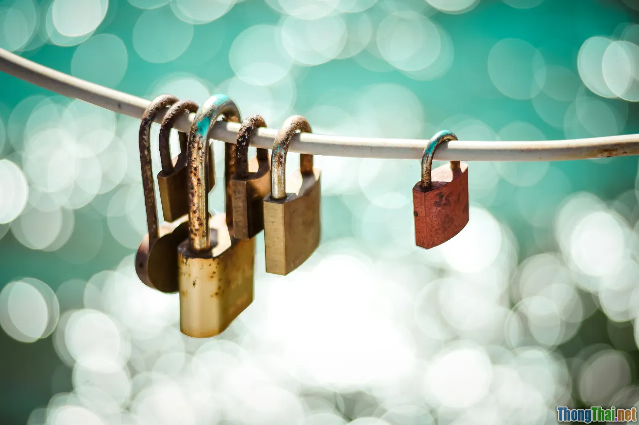 security flaws, user vulnerability, password stealing