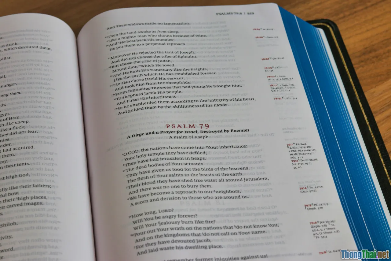 selective learning, study techniques, vocabulary notebook