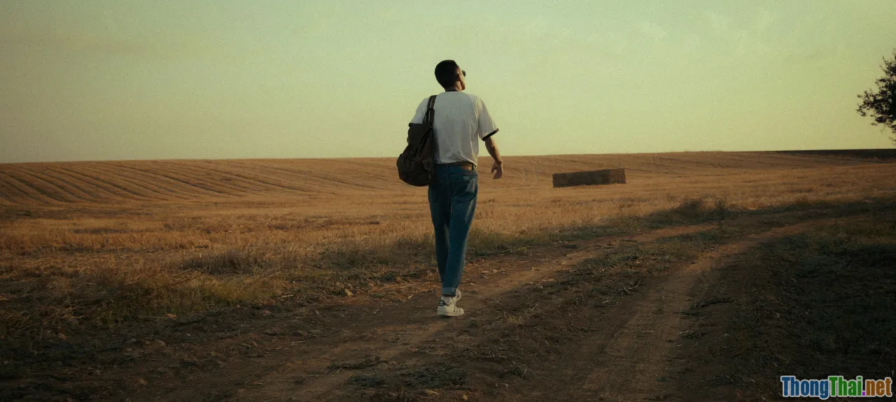 Phim hành trình đi tìm bản ngã hay nhất mọi thời