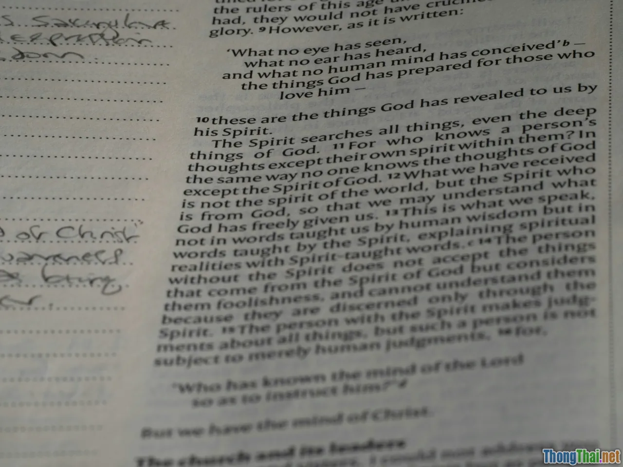 self editing, essay feedback, revision