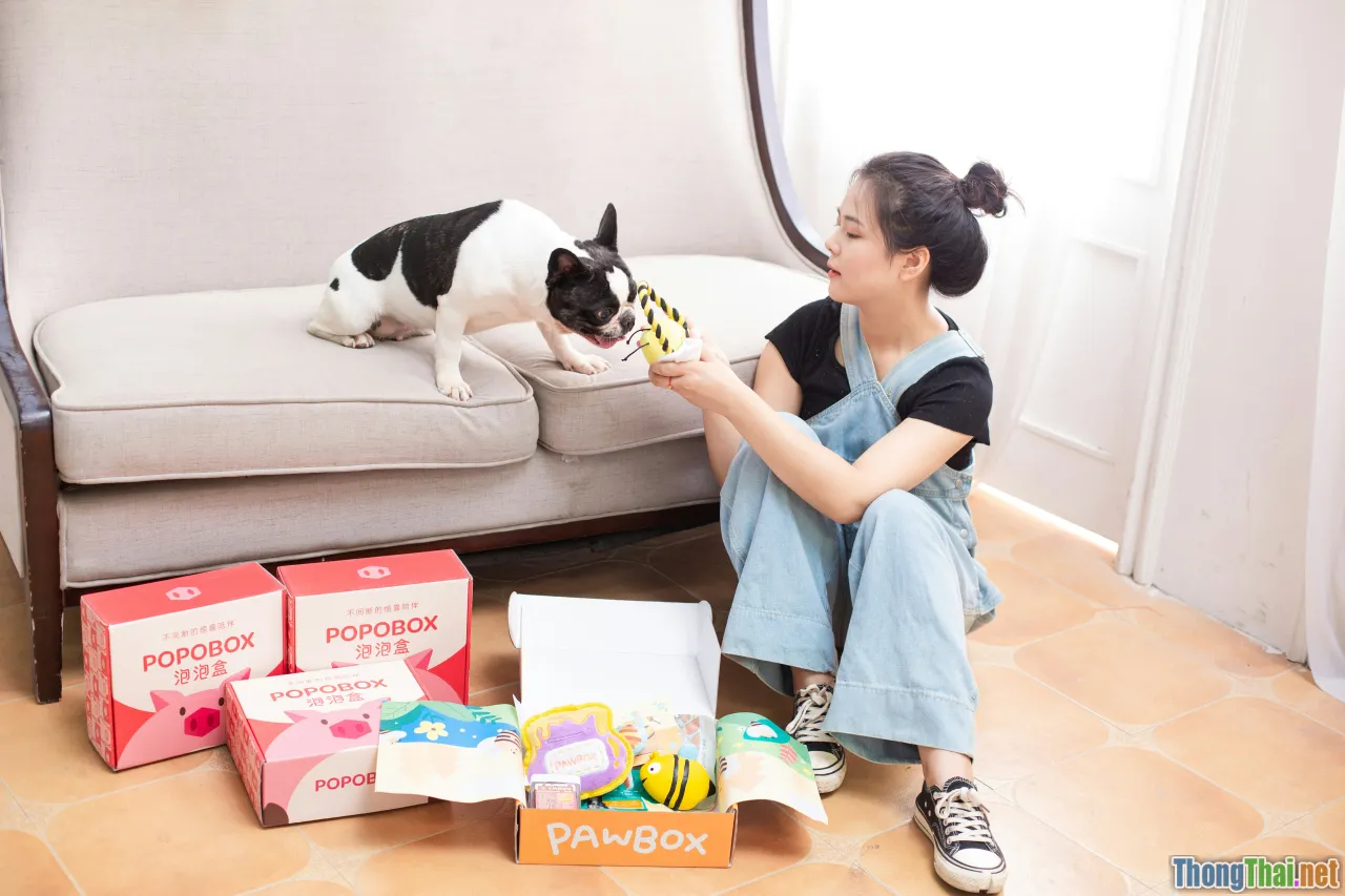 shopping, vet advice, best pet product