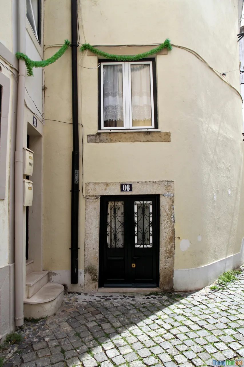 small apartment, narrow house