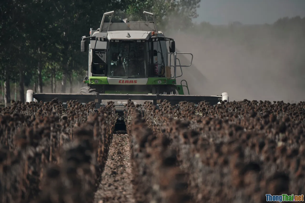 smart farm workers, farmers technology, automation labor
