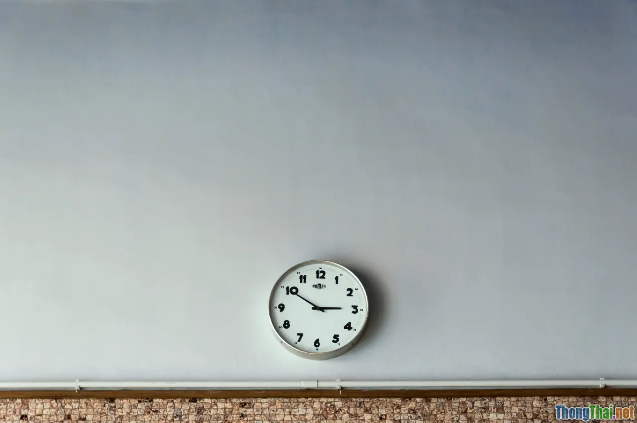 social media, scheduled posts, timeline