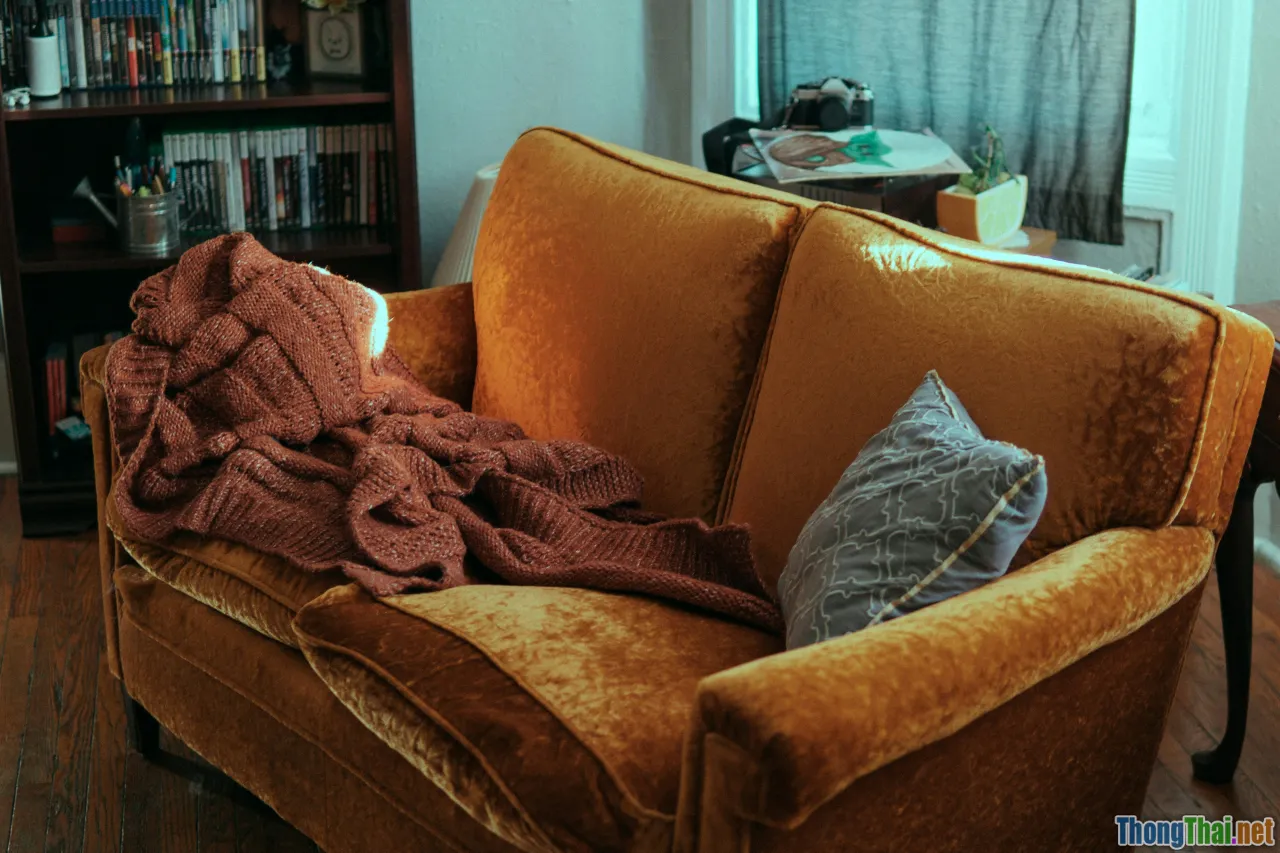 sofa diagnosis, checking cushion, close up