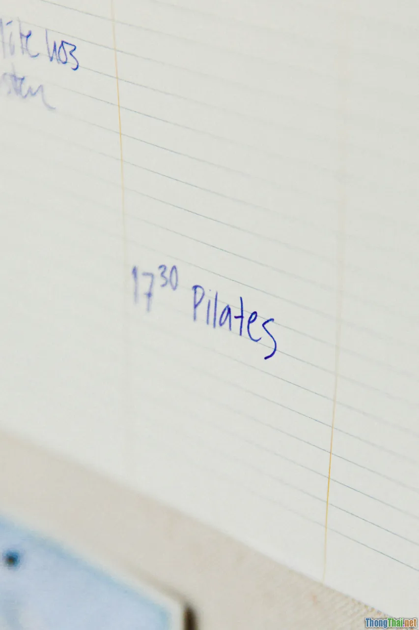 study plan, timeline, milestones