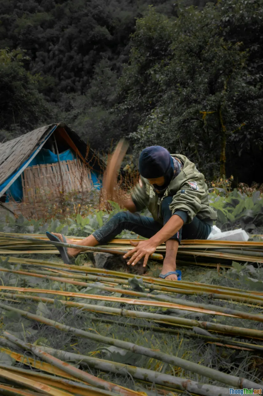 sustainable materials, craftsmanship, bamboo