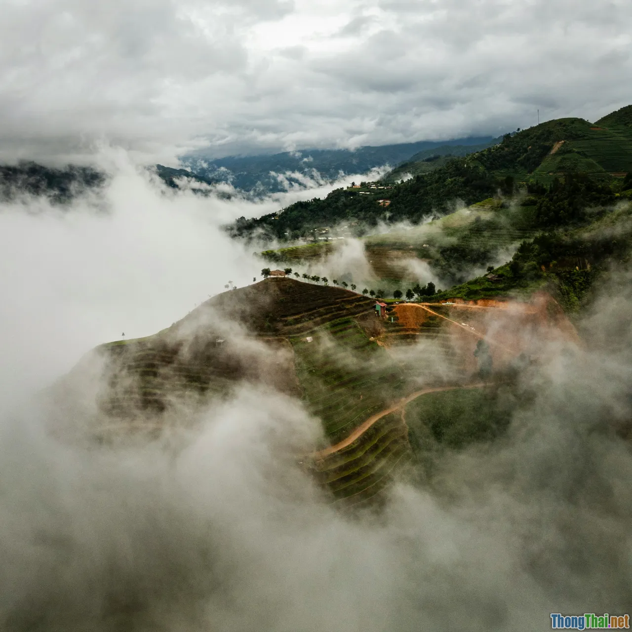 terraced rice, cloud sea, hot spring, mountain lodge