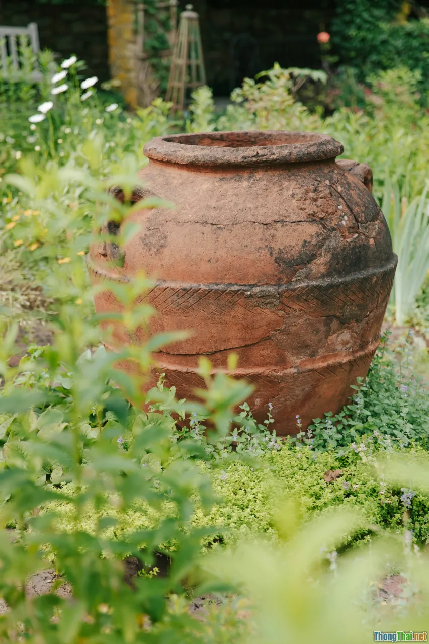 terracotta pot, drainage hole, shallow pot, clay pot