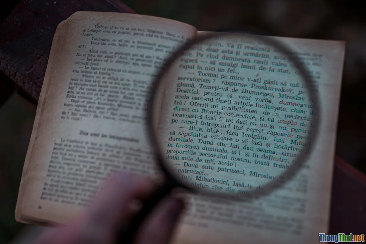 text evidence, true false, not given, magnifying glass