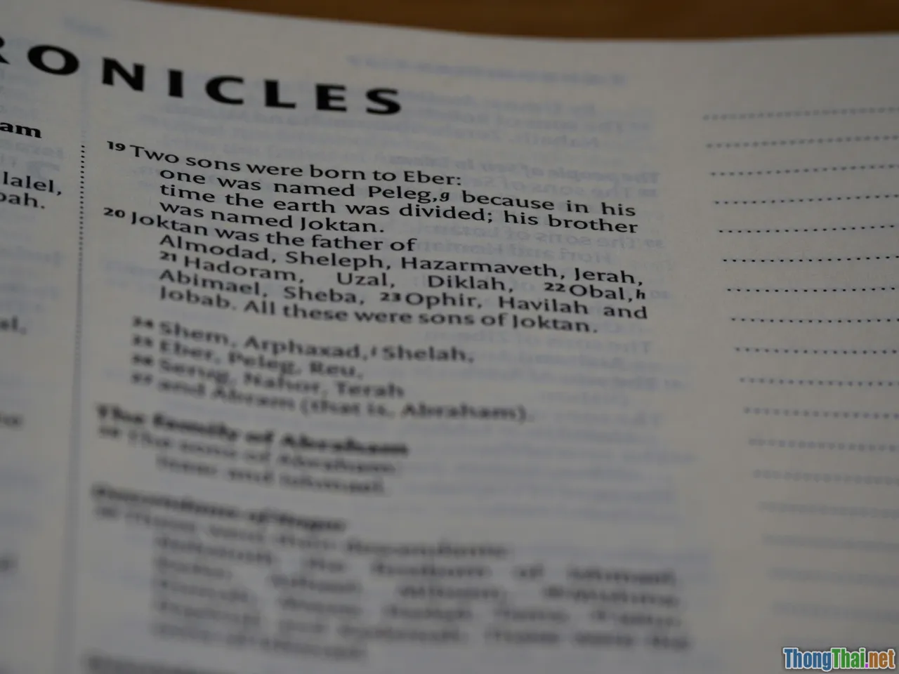 timeline, artifacts, zeitgeist, checklist