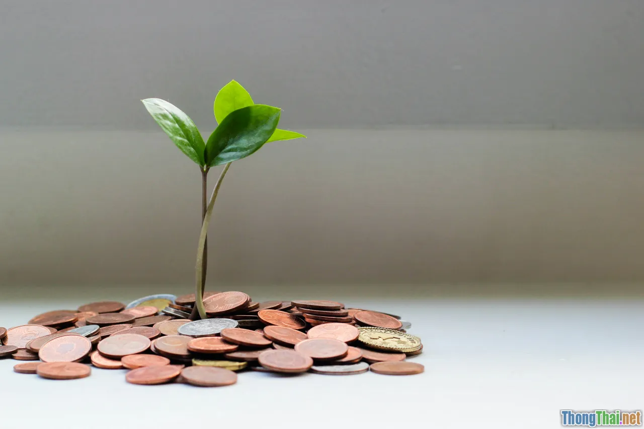 tips, compounding, small wins, growth