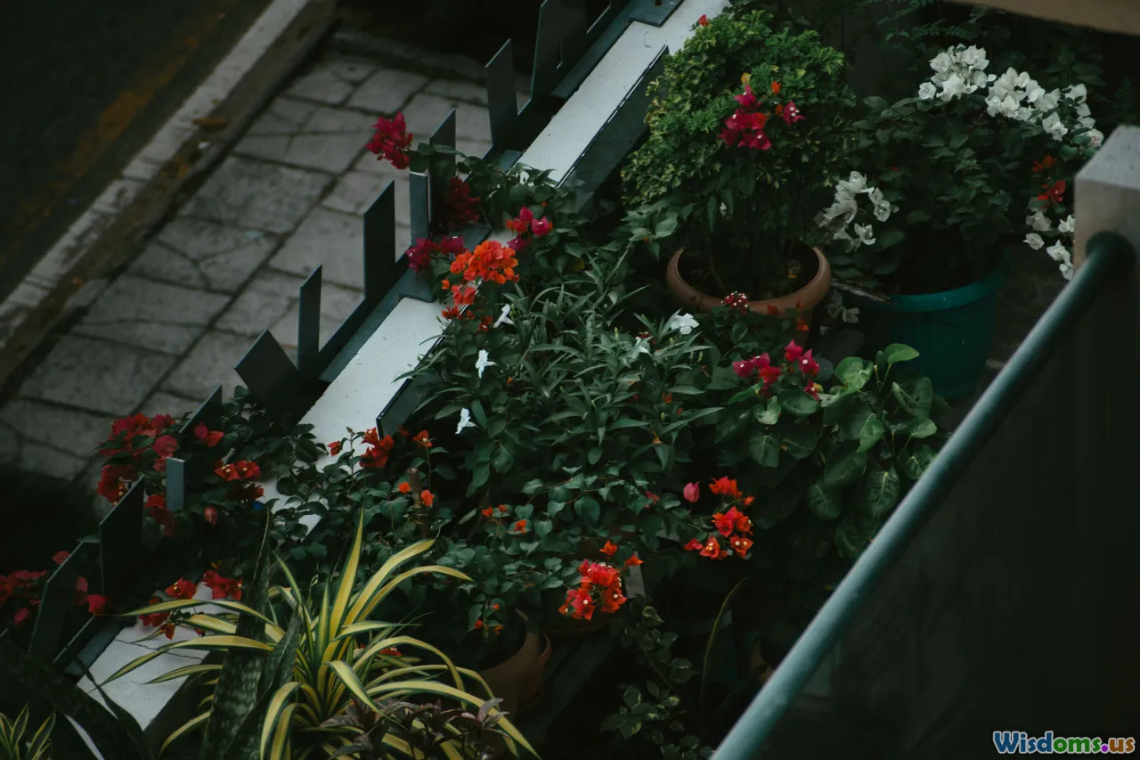 toxic plants, chemicals, balcony