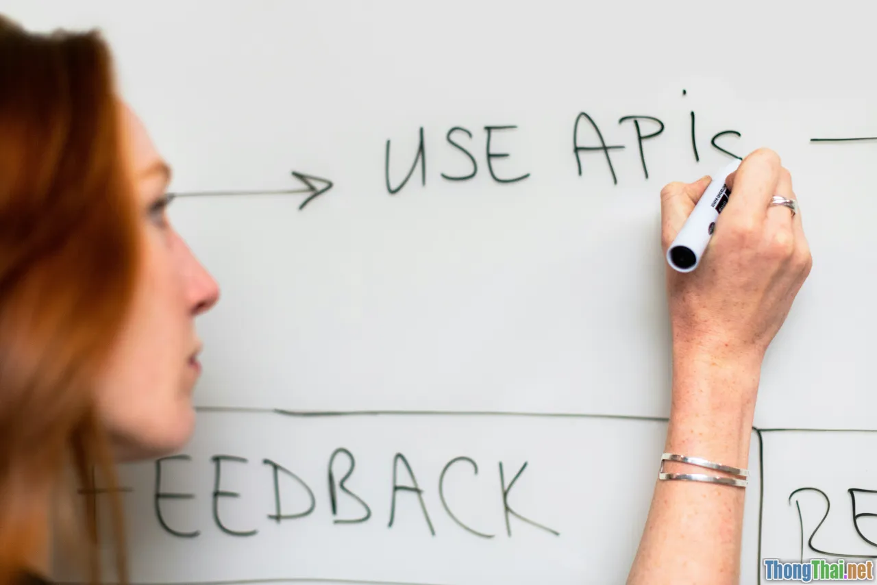 transparent management, continuous feedback, adaptability