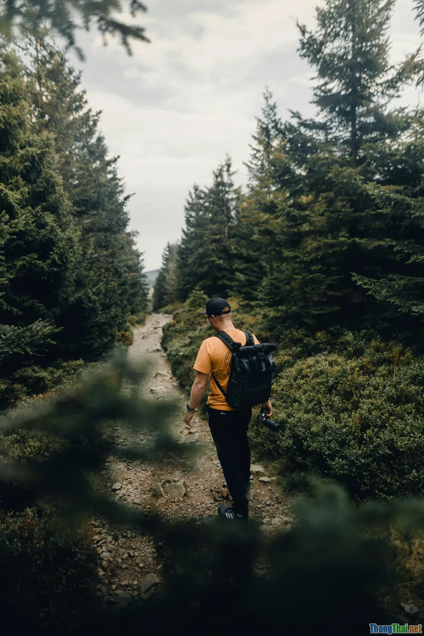 trekking trail, hikers, backpack, travel adventure