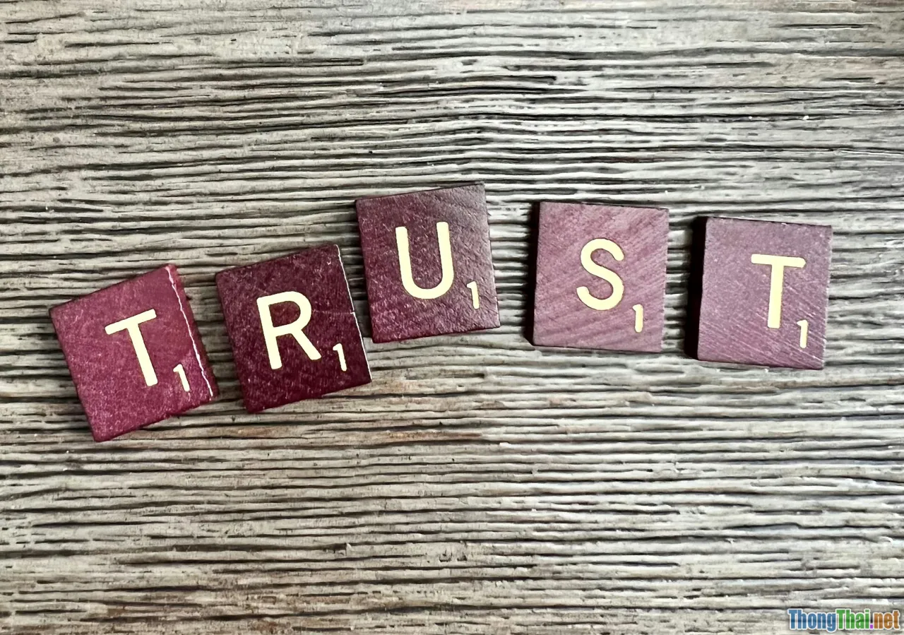trust, team, vulnerability