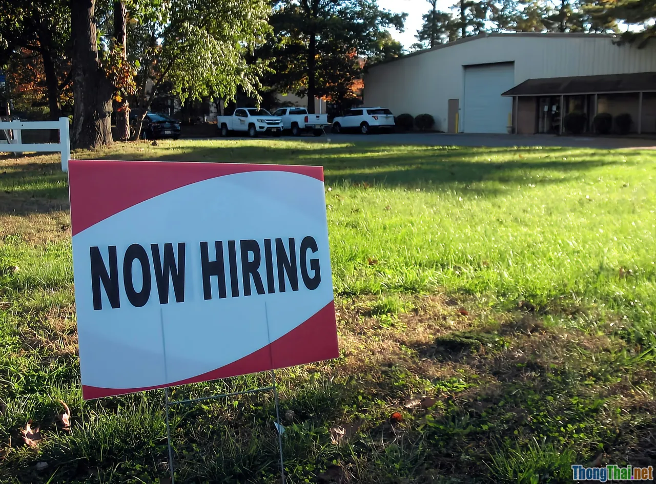 unemployment insurance, job security, layoff support