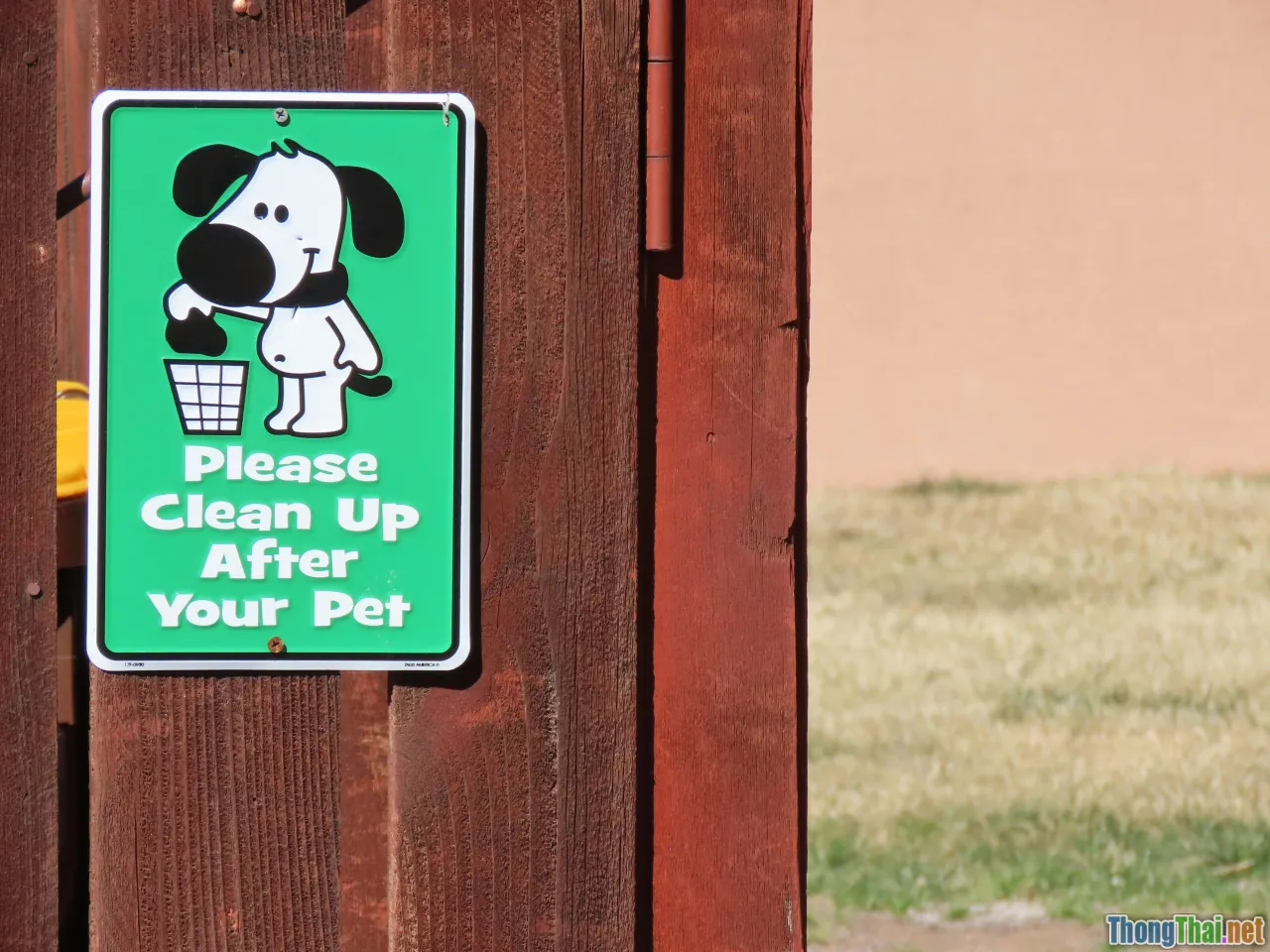 upcycled pet toy, eco friendly pet DIY