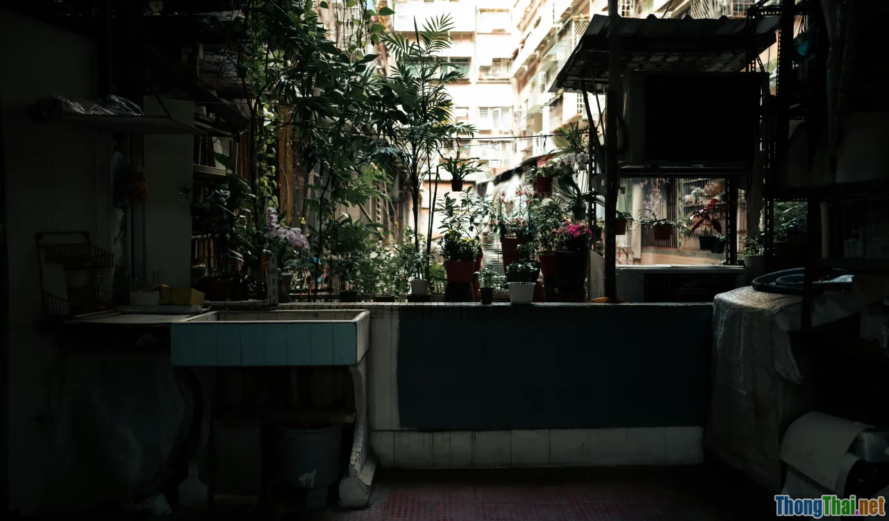 urban lifestyle, small apartments