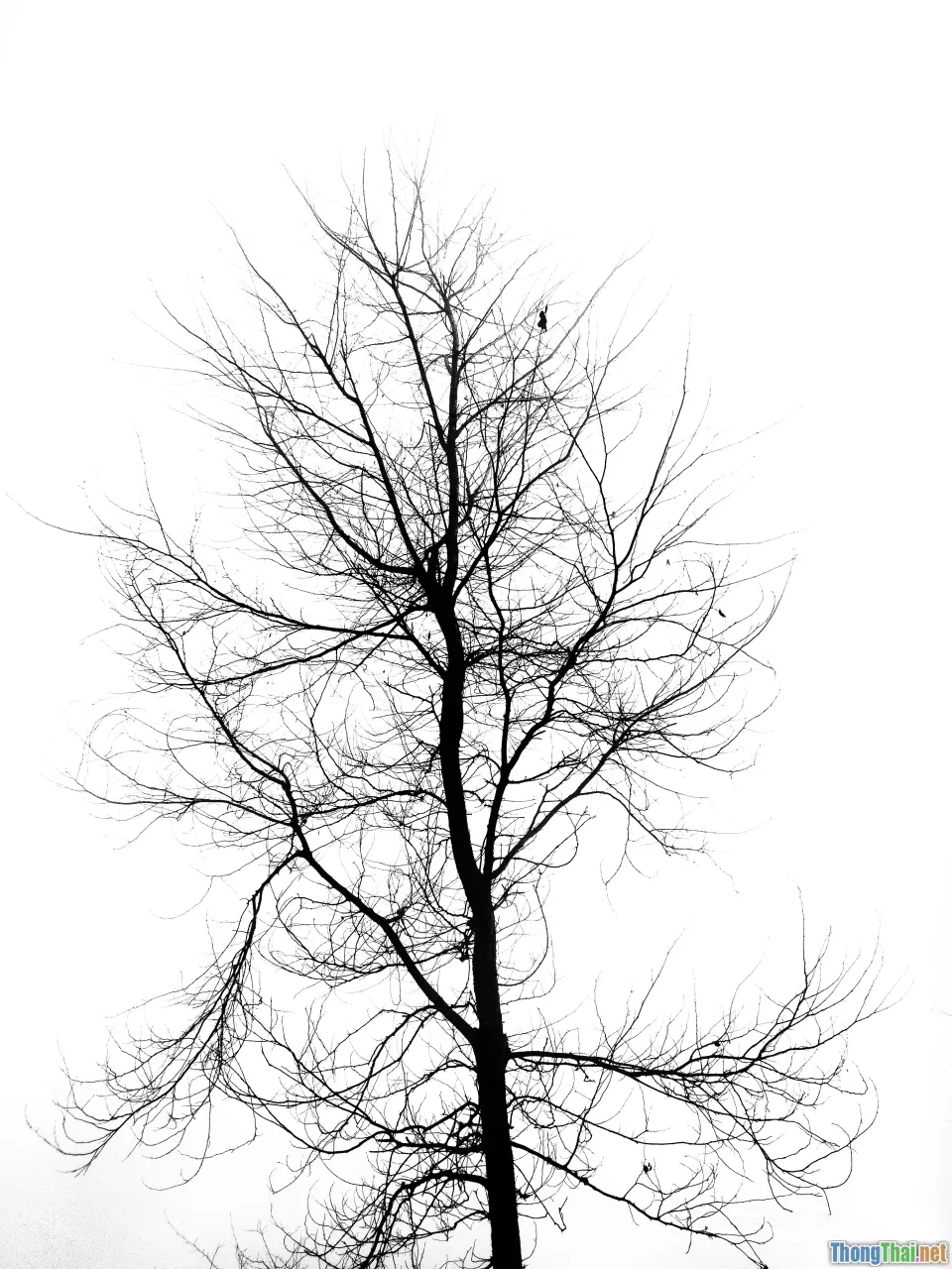 use cases, decision tree