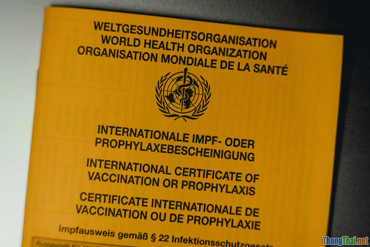 vet check, DNA test, health certificate