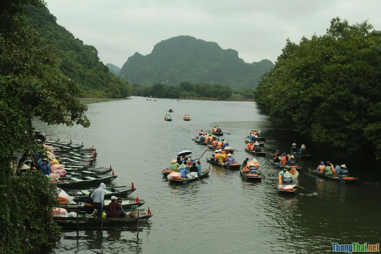 Vietnam law, wildlife policy, enforcement, gavel