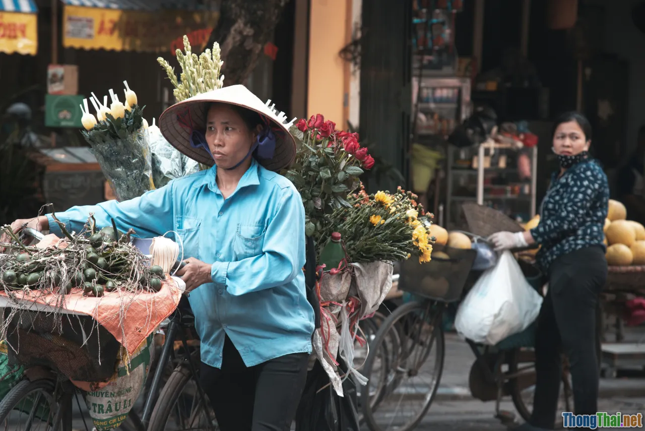 Vietnam travel, local documentary, discovery series