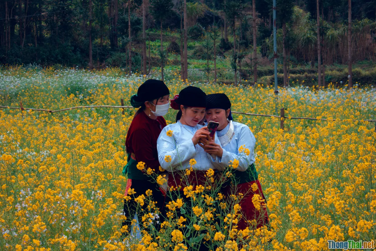 Phim về sự kiện lịch sử Việt Nam bạn không nên bỏ lỡ