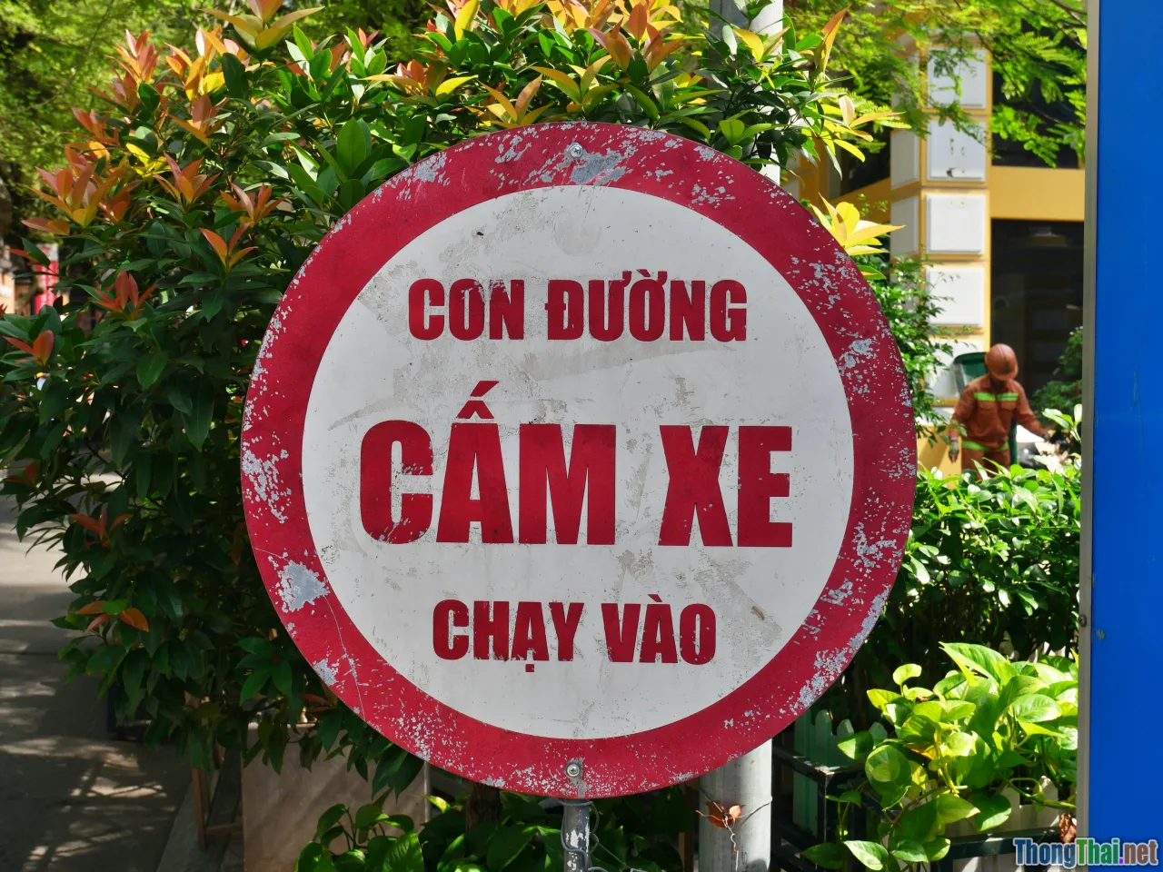 Vietnamese students, confusion, phonetics diagram