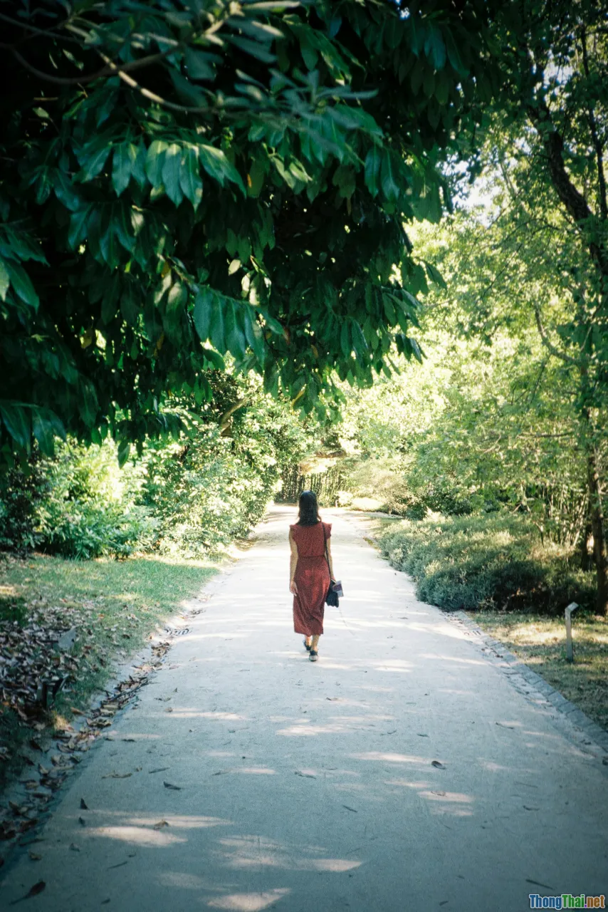 walking meditation, moving mindfulness
