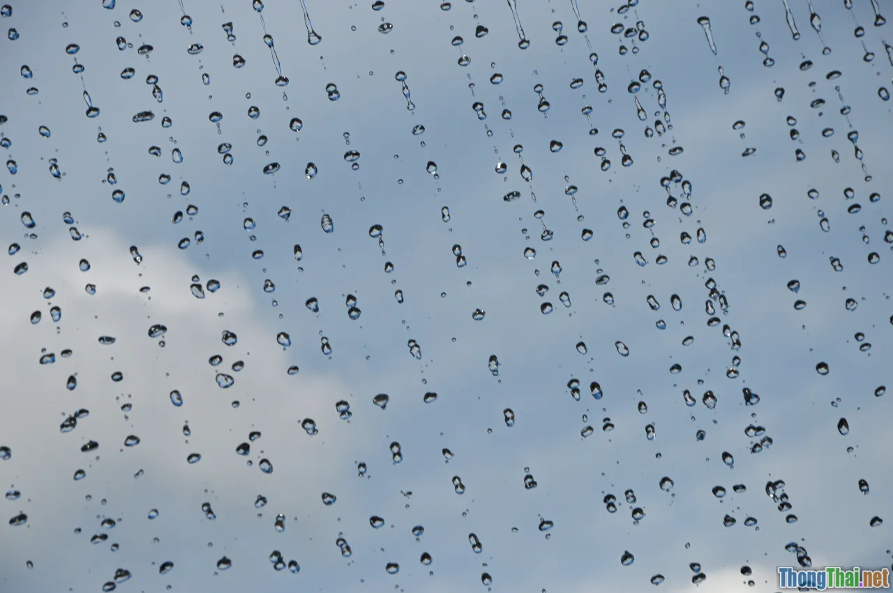 weather map, rain radar, umbrella, afternoon showers