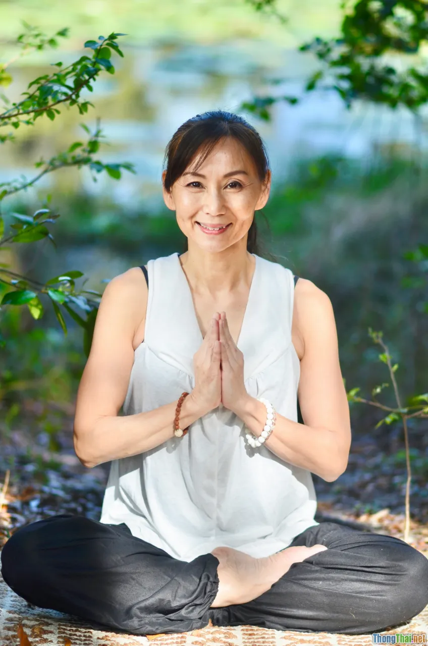 wellness journey, holistic healing, integration