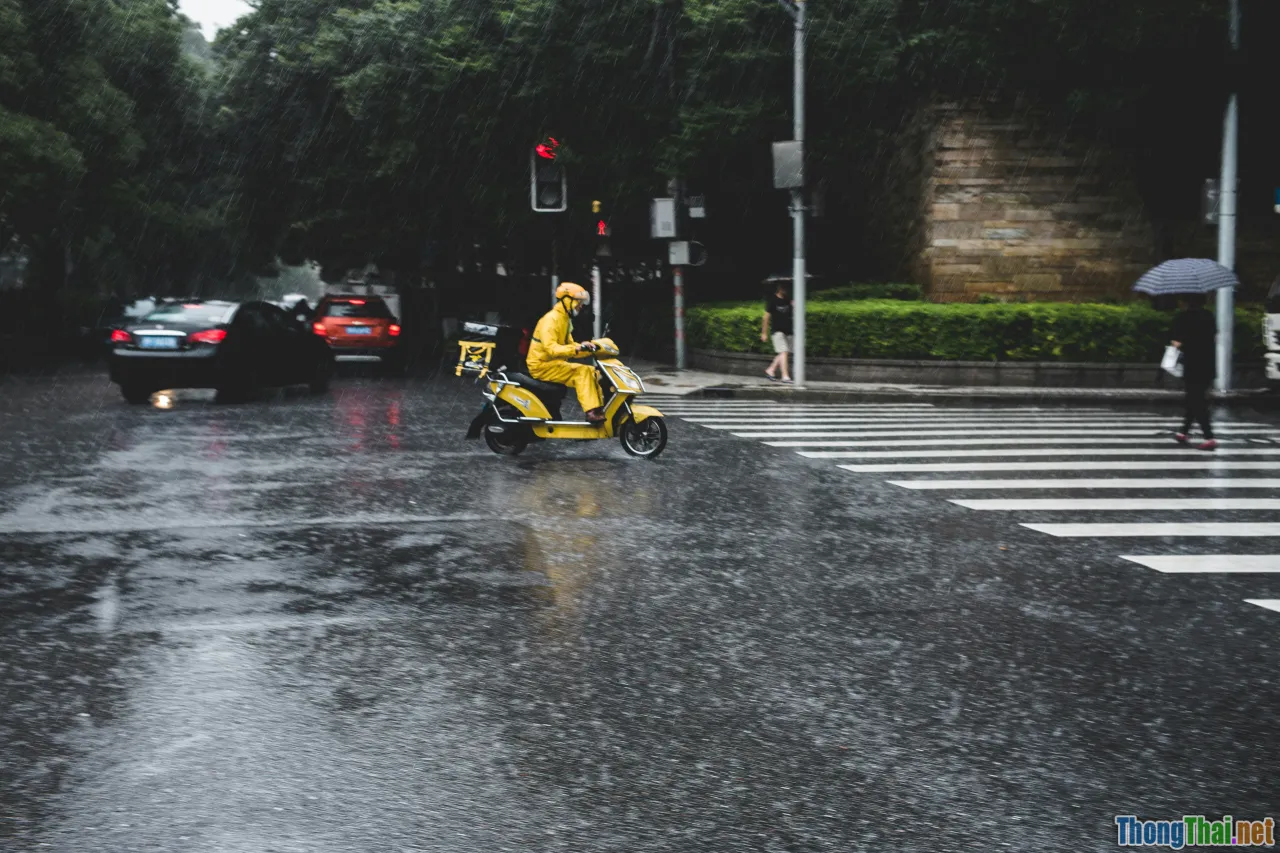 wet road, safety, scooter, rain jacket