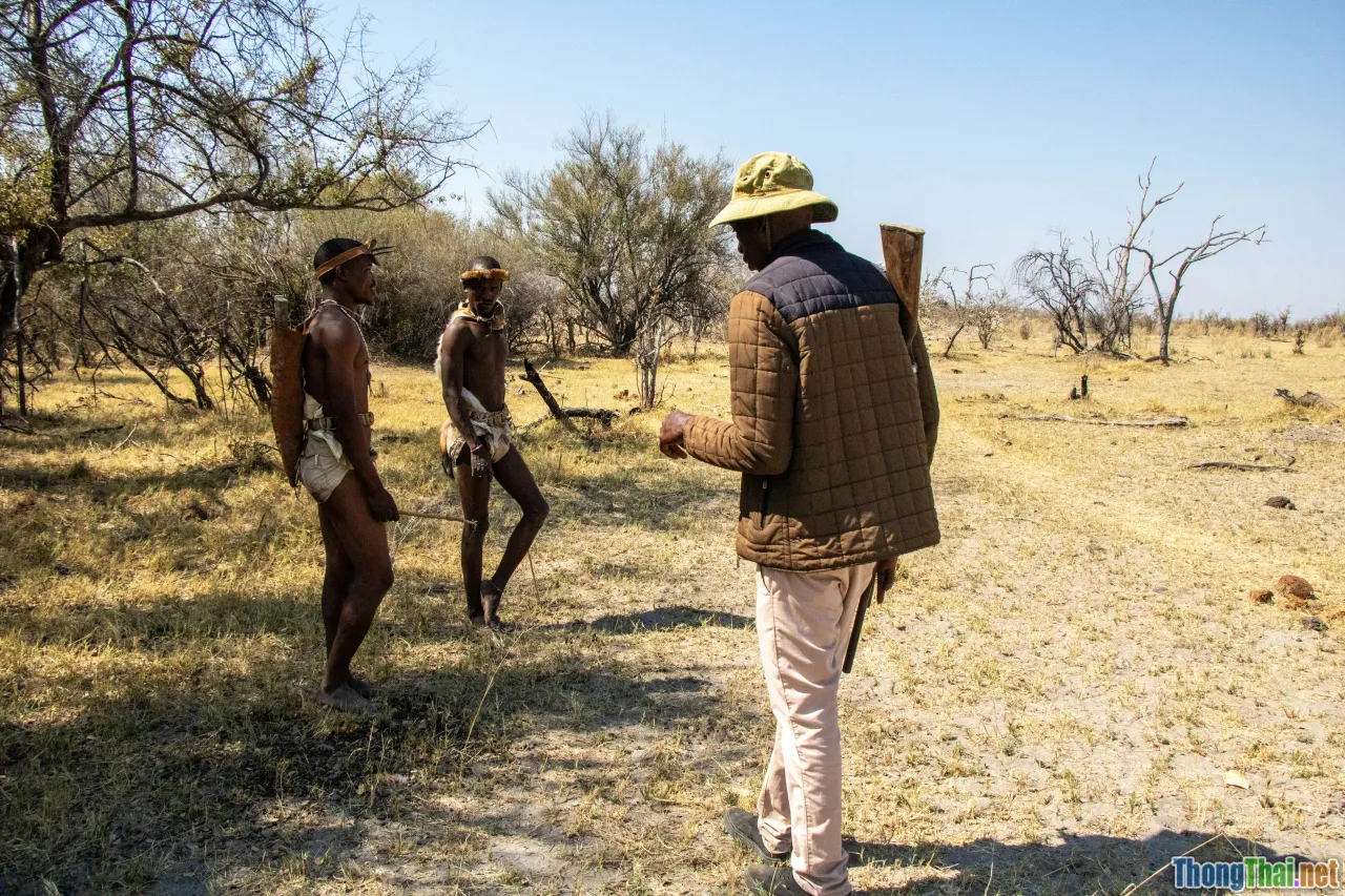 wildlife trafficking, poaching gang, illegal network