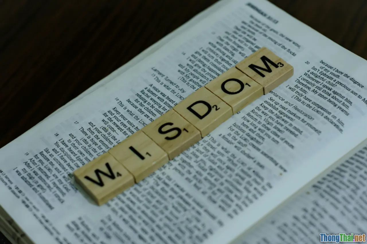 wisdom, teacher, guidance, daily life