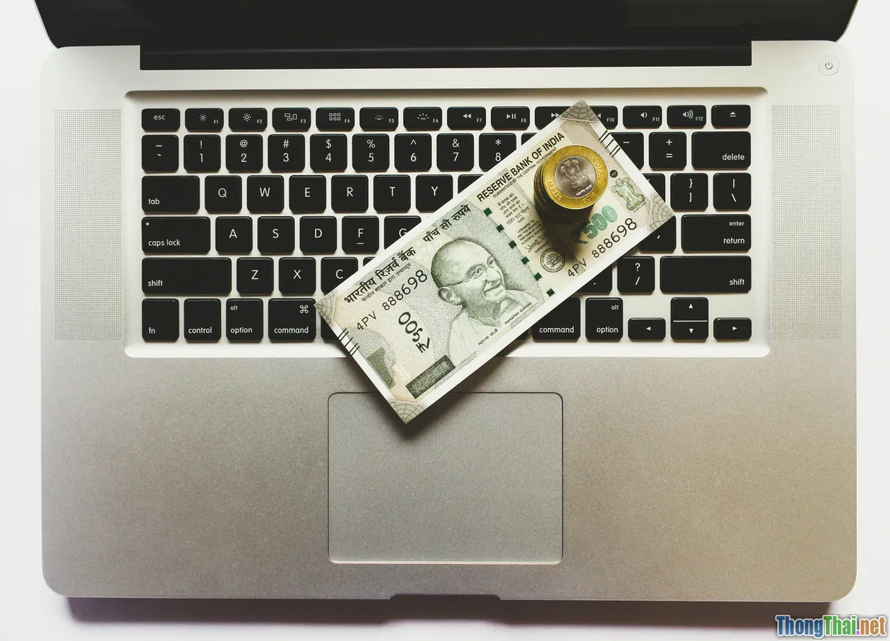 Tại sao niche theme WordPress lại hái ra tiền năm nay